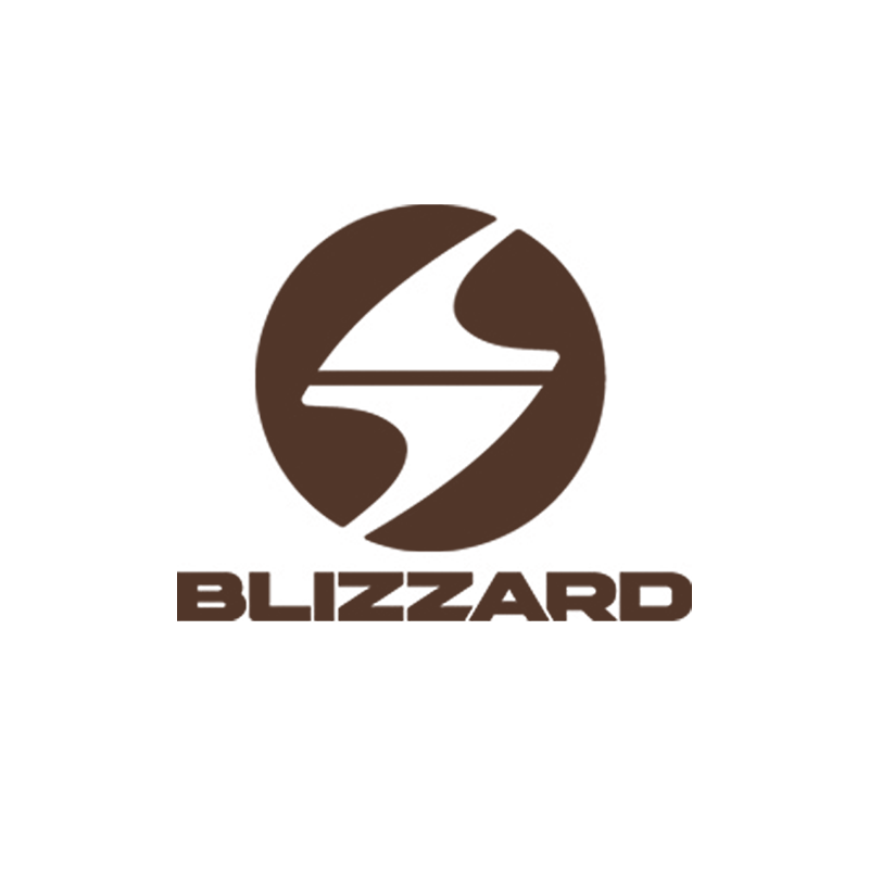 Product image: Blizzard Logo.