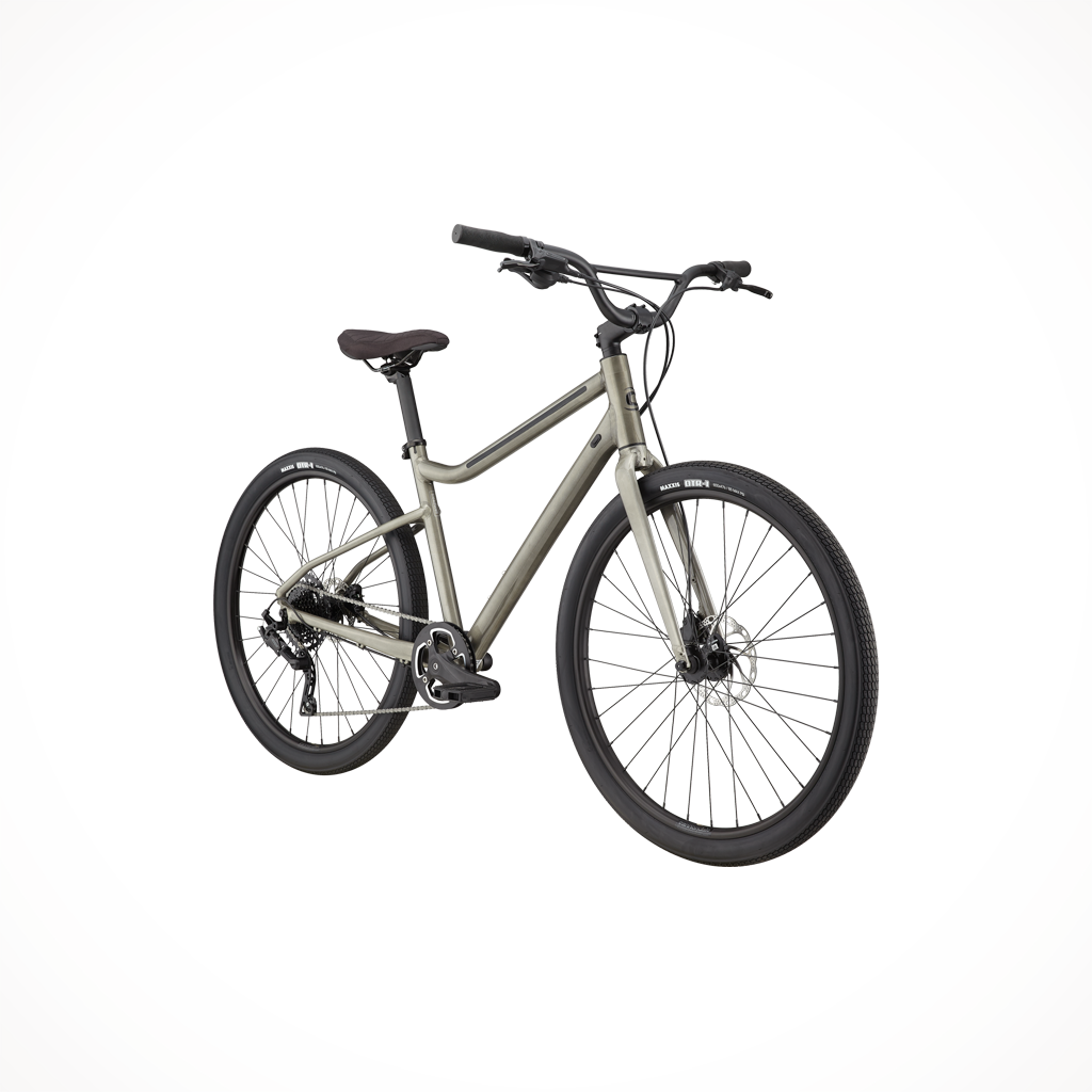 Product image: Cannondale Treadwell 2 Ltd Raw 2025, shown from a three-quarter angled view.