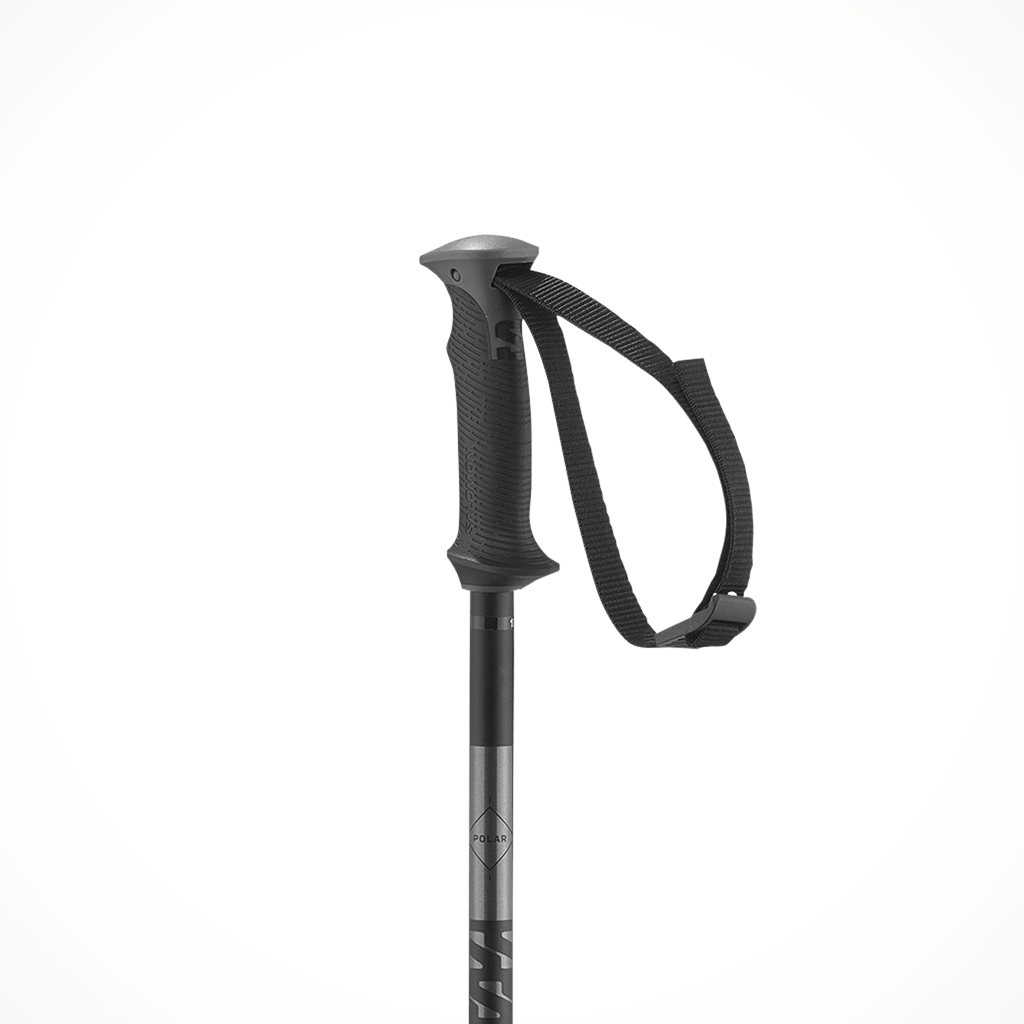 Product image: Salomon Polar Black Unisex Ski Pole 2025 Grip.