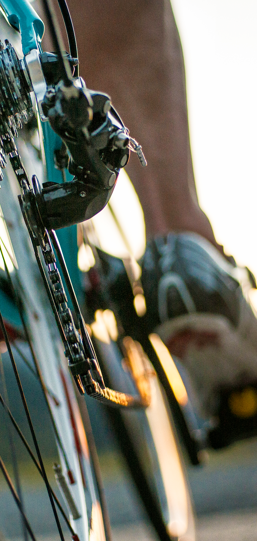 Product image: See All Bike Mobile.