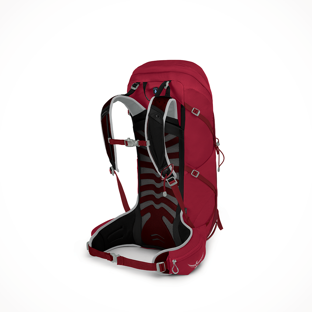 Product image: Camping Backpacks Mens Talon 36 Cosmic Red Interior.