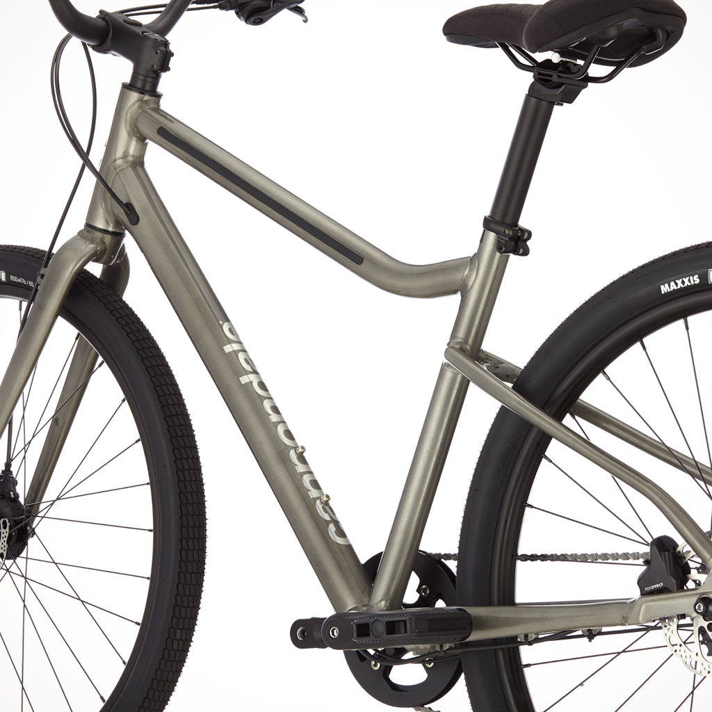 Product image: Cannondale Treadwell 2 Ltd Raw 2025, shown from the back.
