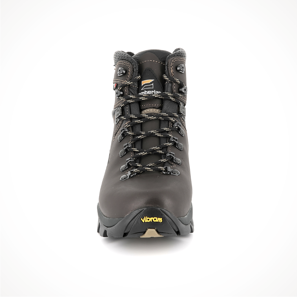 Product image: Footwear Zamberlan Mens VIOZ GTX Dark Brown, shown from the front.